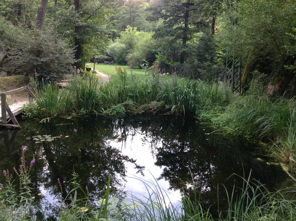 Szarvaskő Oeko-Park Panzio, Kemping Es Rendezvenykoezpont מראה חיצוני תמונה